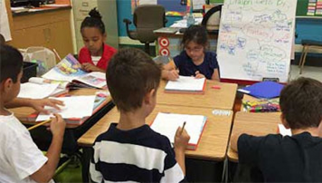 Try a co-teaching model