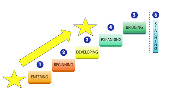 ENLACE Goal Setting Levels